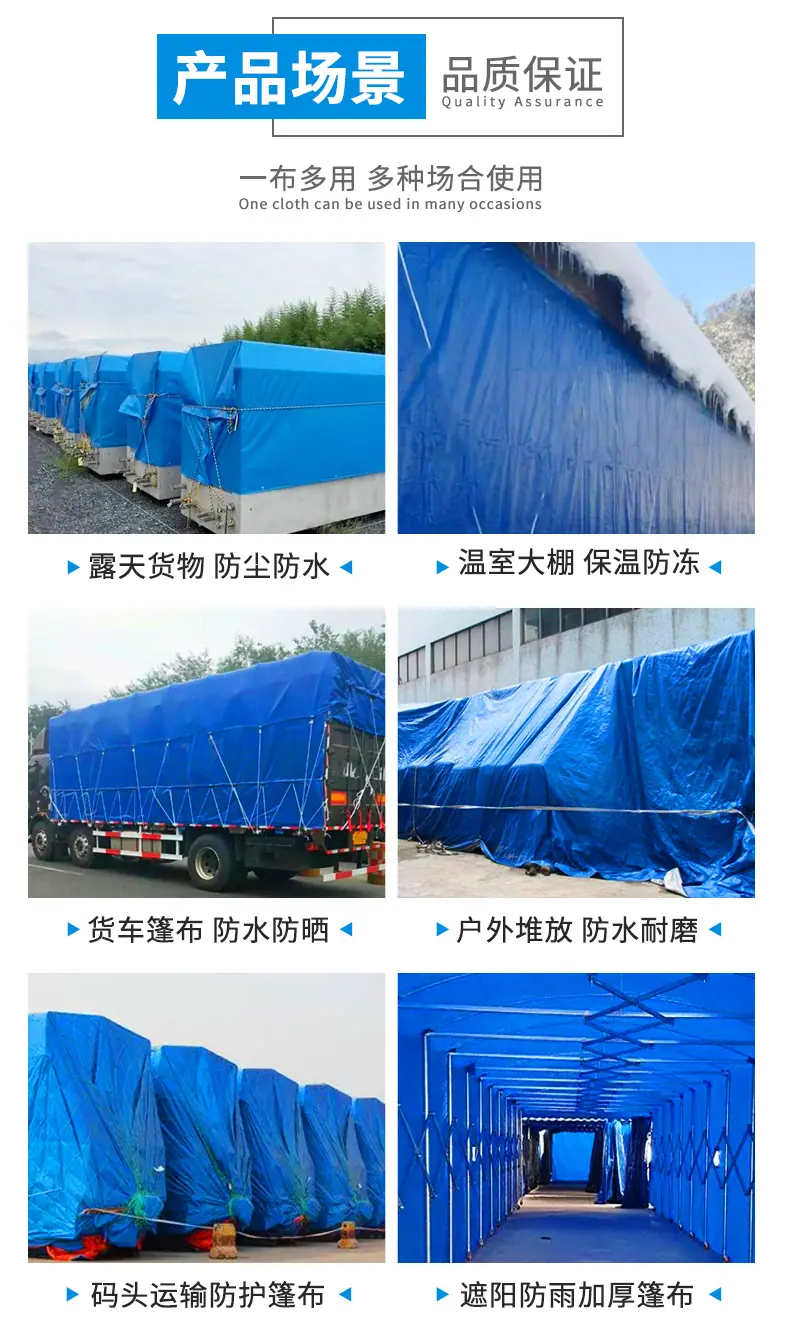 蓝桔_11.jpg