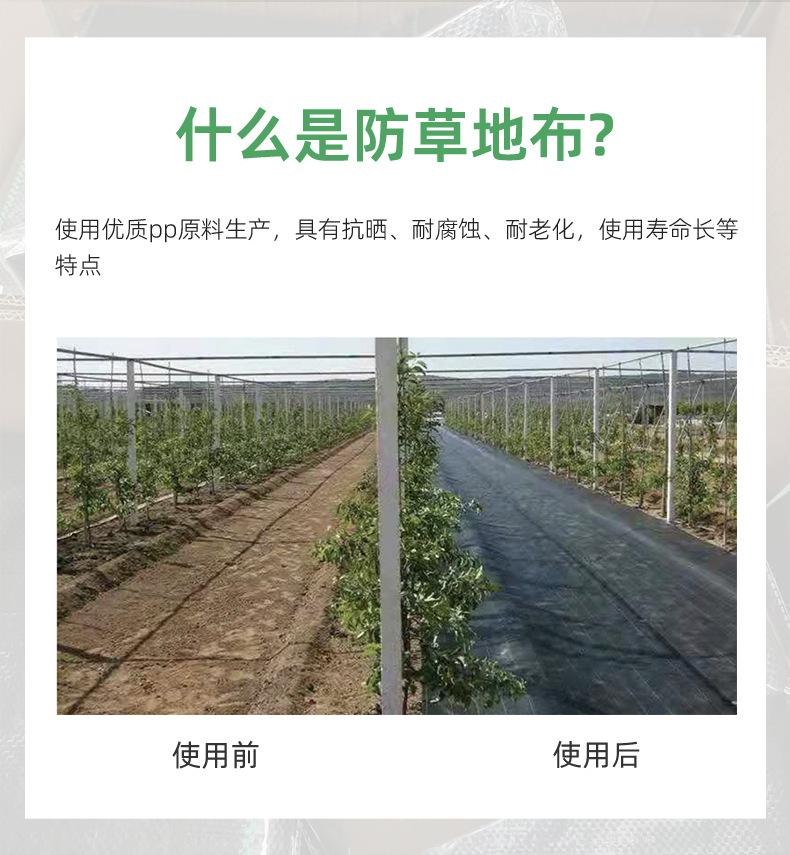 详情页-临沭华际塑编有限公司-2_09.jpg
