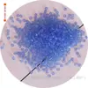 100 Contas de Diamante de 4mm AAA Top para DIY Contas Soltas Contas de Cristal Pontiagudas Cabeça Dupla Joia Grampo de Cabelo