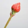 Toque de mão fruta artificial vegetal cardo alcachofra pequena alcachofra decoração de casa arranjo de flores de mesa adereços de exibição de flores ornamentos