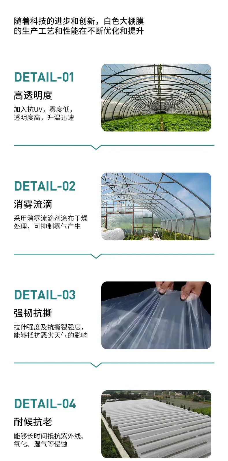 出口白色20丝25丝大棚膜详情页（带出口照片）_04.jpg