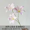 Materiais Florais Rosas para Casamentos Românticos, Salões de Casamento, Decoração de Casa, Styling de Buquês, Bolas de Flores, Arranjos de Flores, Arranjos de Flores de Teto