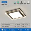 [Selección Estricta] Lámpara Principal Viento Cremoso Lámpara de Techo LED Atmosférica Super Brillante Lámparas de Espectro Completo Protección Ocular Paquete Completo para Toda la Casa Grupo
