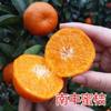 Una pieza de Dropshipping con Fruta Enviada Plántulas Grandes de Naranja Dulce Naranja de Azúcar en Maceta Siembra en Tierra Plantación Norte y Sur Naranja de Azúcar sin Semilla