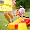 Fabricante Diversos equipamentos de treinamento para cães / Equipamentos para eventos esportivos de cães de estimação agility Treinamento de agilidade para cães simples