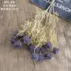 Flores Artificiales y Plantas Verdes al por Mayor de Fabricantes Transfronterizos, Manualidades para Decoración de Bodas, Ramos de Mano Estilo Ins