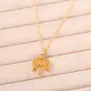 Novo Colar com Pingente de Sino de Fechadura de Segurança Dourado Estilo Chinês com Borla para Mulheres, Design de Nicho, Exquisito e Elegante, Corrente de Clavícula da Moda