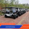 Carrinho de Golfe Elétrico, Imobiliário, Carro para Visitação de Casas, 2 Lugares, 4 Lugares, Carro para Campo de Golfe, Carro de Passeio