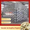 Secador de angélica vegetal de energia de ar caixa de secagem de fatia de retorno de vegetais inteligente Wenshan Equipamento de secagem de angélica doce de Liangshan