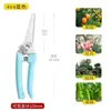 Tijeras de jardinería, tijeras de podar, tijeras para flores, tijeras de jardín, tijeras florales, tijeras para árboles, tijeras para árboles frutales, tijeras para ramas, tijeras para podar flores