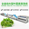 Línea automática de procesamiento y limpieza de hortalizas de hoja, hortalizas de raíz y frutas Xuzhong, máquina combinada de corte, lavado y secado de verduras de grado para cocina comercial