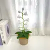 [Producto Terminado] Linterna de Campanillas de Lana Tejida a Mano Transfronteriza Flor Artificial Adornos de Escritorio Tejidos Regalos Creativos