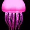 Lámpara de medusa Lámpara de pie IC Lámpara de buceo Lámpara ornamental exterior IC
