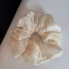 Elástico de Cabelo de Renda Vazada Estilo Francês, Elástico de Tecido Fresco e Simples, Corda de Cabelo Versátil para Rabo de Cavalo Baixo, Acessório de Cabelo