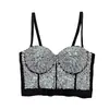 Corset de Peixe Dourado e Prateado de Luxo Resistente Estilo Europeu e Americano Mais Vendido da Amazon Crop Top Sexy Sem Alças para Palco