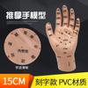 Diagrama de puntos de acupuntura para masajes Modelo de mano de masaje