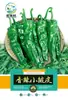 Semillas de Chile Picante: Pimiento Xiaomi, Pimiento Piel Arrugada Fina Dedo Dorado, Línea 8819, Pimiento Cuerno de Vaca y Oveja, Pimiento Dulce Belleza Cinco Siete, Pimiento Amarillo, Semillas Picantes