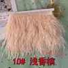 Borlas Decorativas de Pena DIY, Acabamento de Pena de Avestruz, Bainha de Vestido/Saia de Palco, Acessórios de Roupa, Renda, Tiras de Pena