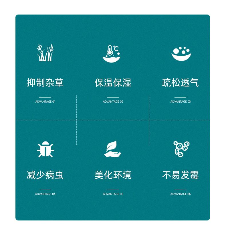 详情新_04