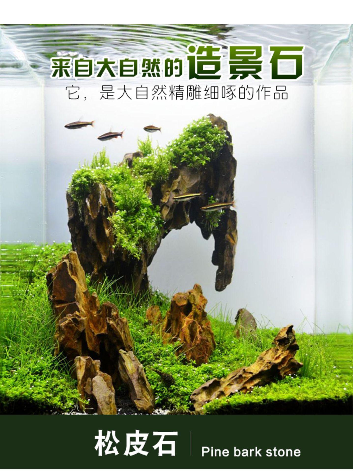 详情图01.jpg