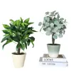 Plantas Verdes Simuladas, Árbol del Dinero de Lujo Accesible y Elegante, Adornos de Decoración para Sala de Estar Interior, Plantas Artificiales en Maceta, Paisajismo, Flores Artificiales, Plantas Biónicas