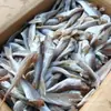 Pescado Pequeño Seco, Pargo Rojo Seco 500g, Pescado Seco Sin Cabeza Secado al Aire, Pescado Salado de Shandong, Productos Secos, Pargo Rojo Encurtido Venta al por Mayor