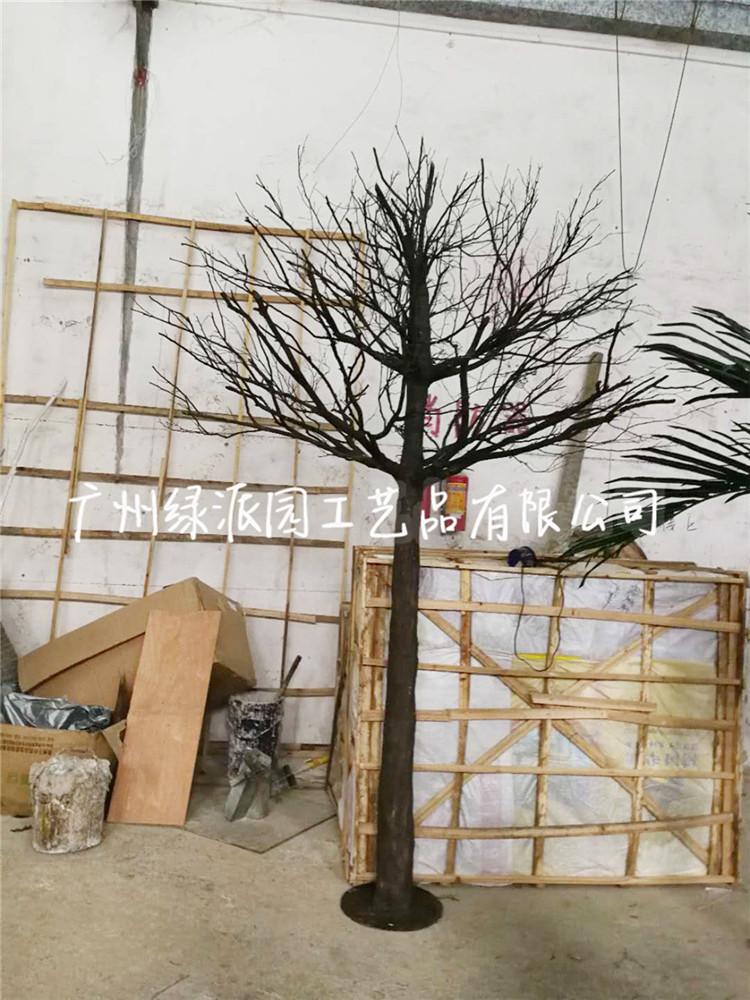 枯树1001138.jpg