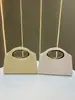 Bolso de Mano Tejido de Moda Nuevo para Mujer, Bolso de Mano Versátil para Mujer, Bolso Cruzado Simple de Nicho, Bolso de Mano