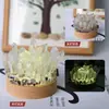 Luz de Noche de Cristal Amarillo Natural, Lámpara de Atmósfera de Racimo de Cristal, Adorno de Regalo Creativo de Resina, Luz de Noche para Mesita de Noche de Dormitorio Protección Ocular
