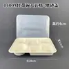 Cajas de almuerzo desechables multicompartimentos de tres, cuatro, cinco o seis compartimentos, cajas de embalaje para llevar, charola biodegradable de pulpa de papel