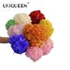 Hortensia de Hoja Pequeña Flor Eterna de Yunnan Flor Seca Rama Única Adornos para Decoración del Hogar Ramo Hecho a Mano Material DIY Venta al por Mayor