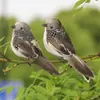 Pájaros Pequeños Gorriones Pájaros de Espuma y Plumas con Pinza Decoración Rústica de Patio Estilo Campestre Americano