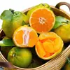 Mandarinas Yunnan Fuyu 5kg Fruta Fresca de Temporada Caja Entera Envío Gratis Venta Directa