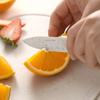 Conjunto Dois em Um de Faca de Cozinha e Tábua de Corte de Palha de Trigo, Faca de Frutas de Aço Inoxidável para Uso Doméstico com Capa para Faca