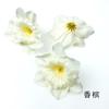 Pintura al Óleo de Simulación Cabeza de Narciso DIY Pasador Hecho a Mano Material de Flor para el Cabello Adorno para la Cabeza Nueva Decoración Hanfu China Pared de Flores para Bodas