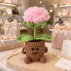Adorno de Planta en Maceta Rosa Tejido a Mano Lindo con Manos y Pies Flor de Hilo Maceta Muñeca Decoración Creativa de Escritorio