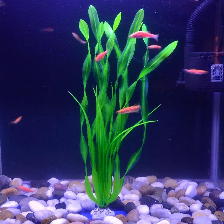 O1CN01gQ1LsW1KVtxEsokXy_!!1035