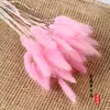 Cola de conejo, hierba, flor seca, flor real, flor eterna, ramo de flores secas estrelladas, venta al por mayor, decoración del hogar, arreglo floral, accesorios de fotografía