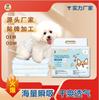 Pañales para Mascotas Personalizados, Pañales, Pantalones Menstruales para Teddy, Toallas Sanitarias Especiales para Perros Macho y Hembra, Pantalones Menstruales para Hembras