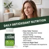 Cápsulas Googeer Theanine Care Fórmula Suave de Aminoácidos Productos de Cuidado para el Cuerpo y la Mente de Adultos