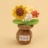 Plantas de Tulipán Hechas a Mano con Ganchillo Transfronterizas en Maceta, Adornos de Rosa, Jarrones de Flores Tejidos con Hilo, Flores Artificiales, Plantas en Maceta para Escritorio