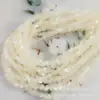 Conchas de Mar Profundo con Forma Especial Cuentas de Concha de Mariposa Blanca Cuentas de Grava Asimétricas Pulsera DIY Collar Cortina de Puerta Accesorios Decorativos con Cuentas
