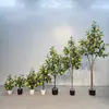 Árbol de Limón Artificial con Cascabeles Colgantes, Gran Adorno Decorativo de Pie para Sala de Estar y Casa de Huéspedes, Decoración Bonsái Estilo Nórdico