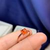 Nuevo Anillo Torre de Azúcar de Granate Natural Plata 925 Incrustada para Mujer Anillo de Dedo Índice Sencillo de Boca Viva Joyería al Por Mayor