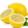 Dropshipping Perfume Limonero Plántula Árbol Frutal en Maceta Plántula Norte y Sur Interior Patio Preciosa Plantación de Cuatro Estaciones