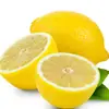 Perfume de Dropshipping Plántulas de Limón Plántulas de Árbol Frutal en Maceta para Patio Interior en el Norte y Sur, Plantación Preciosa de Cuatro Estaciones