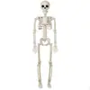Nuevo Esqueleto de Halloween 90cm Cuerpo Humano Artificial Esqueleto de Plástico Decoración Casa Embrujada Escena Festiva Layout