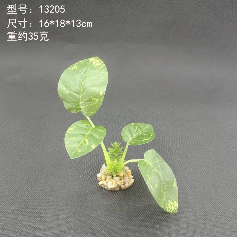 中号1.jpg