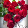 Roseiras Velhas Florescem no Mesmo Ano, Produzindo Flores Grandes e Perfumadas; Plantas de Rosa de Raiz Velha, Plantas Verdes, Plantas em Vasos, Atacado, Variedades de Rosa