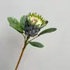 Flor Rei da África do Sul Simulada, Flor Princesa da África do Sul, Adereços de Fotografia, Arte Floral para Casa, Decorações Simuladas para Fotos, Venda por Atacado